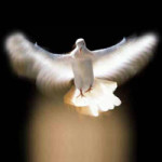 Czuwanie przed Zesłaniem Ducha Świętego