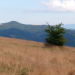 Wycieczka na Mogielicę