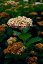 Spotkanie XXXV Spotkanie XXXV